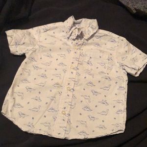 Button down dinosaur top.